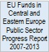 EU Funds in Central and Eastern Europe Public Sector Progress Report 2007-2013